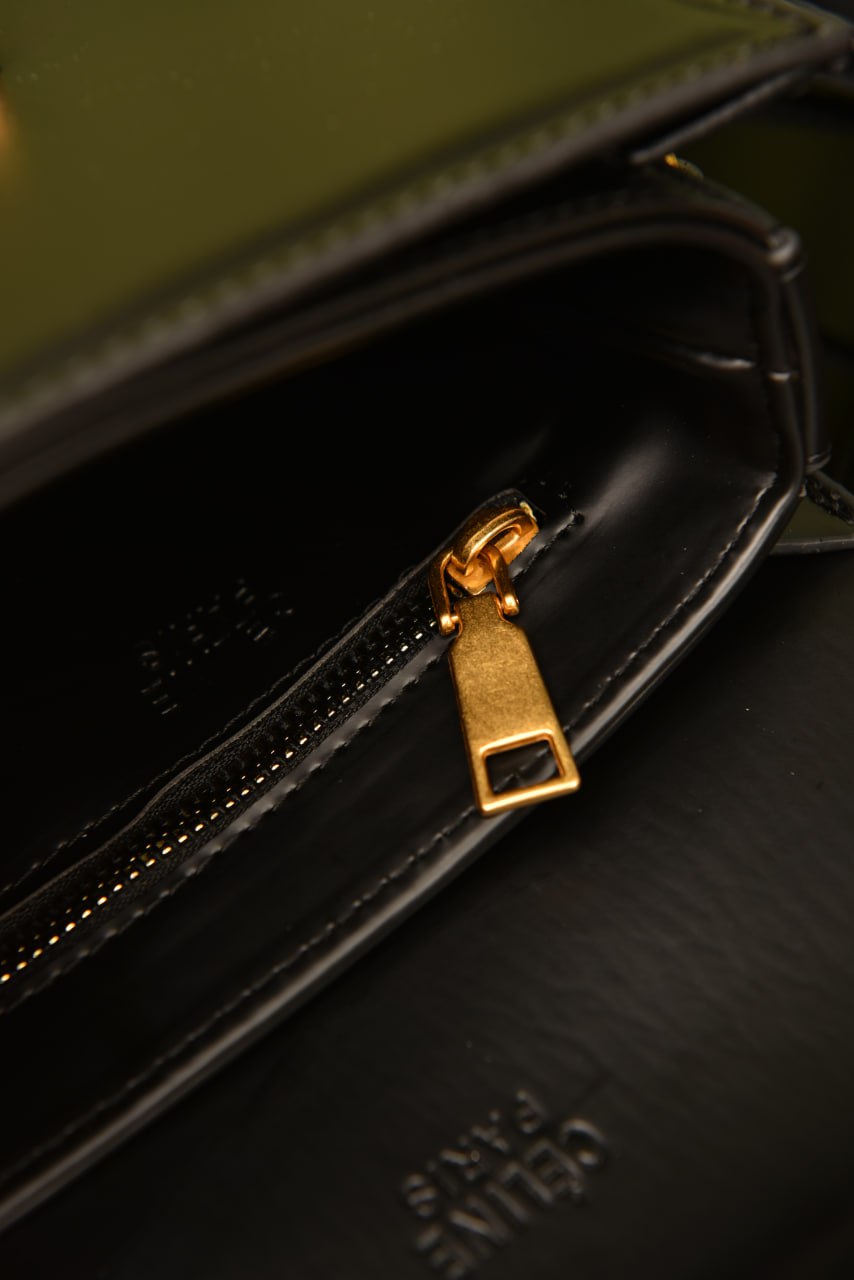 CLN- Classique Triomphe Bag in Shiny&nbsp;